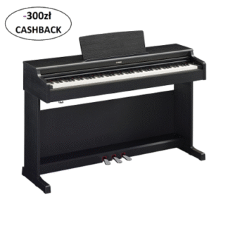 Yamaha YDP 165B