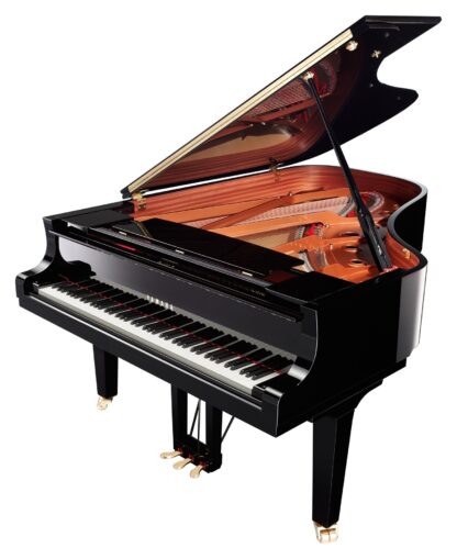 Yamaha C6X PE - obrazek 3