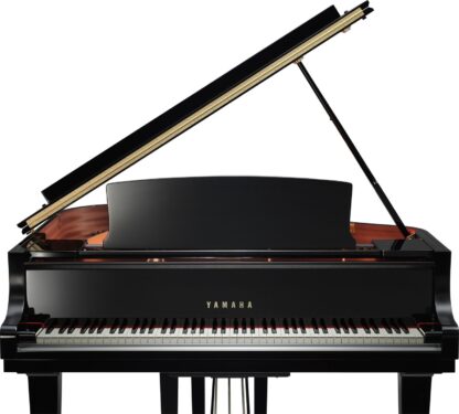Yamaha C1X PE - obrazek 2