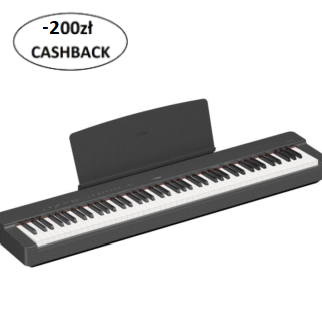 Yamaha P-225B