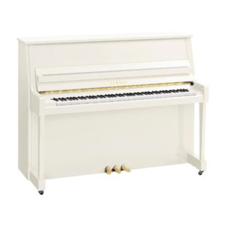 Yamaha B20PWH