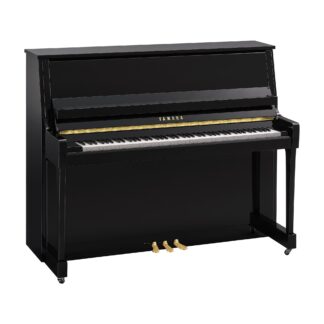 Yamaha B30PE