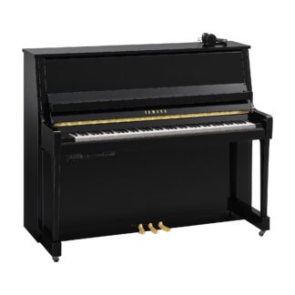 Yamaha B30PE SC3
