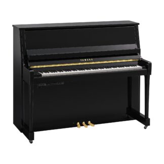 Yamaha B30PE TC3